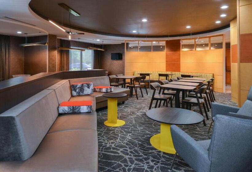 Отель Springhill Suites By Marriott Lancaster Palmdale