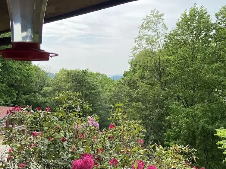 ホテル Sugar Tree Inn