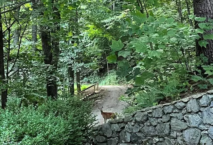 ホテル Sugar Tree Inn