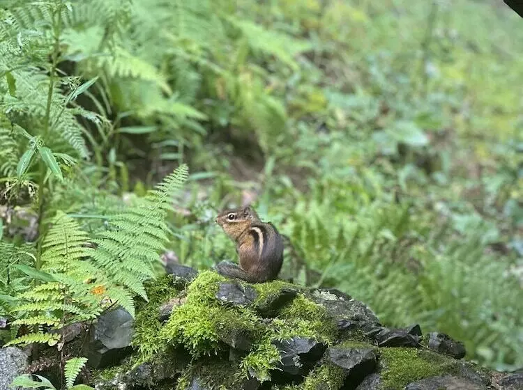 ホテル Sugar Tree Inn