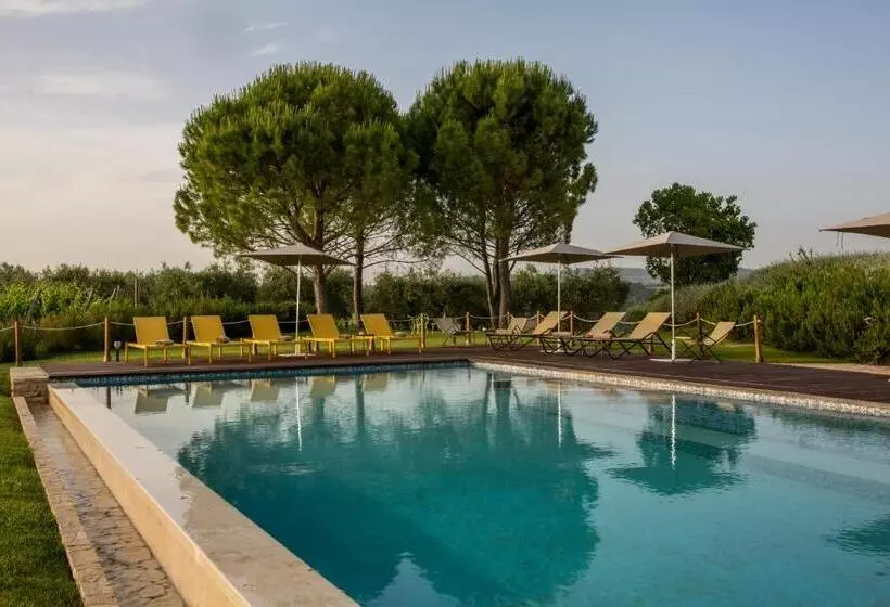 Roccafiore Wine Resort & Spa