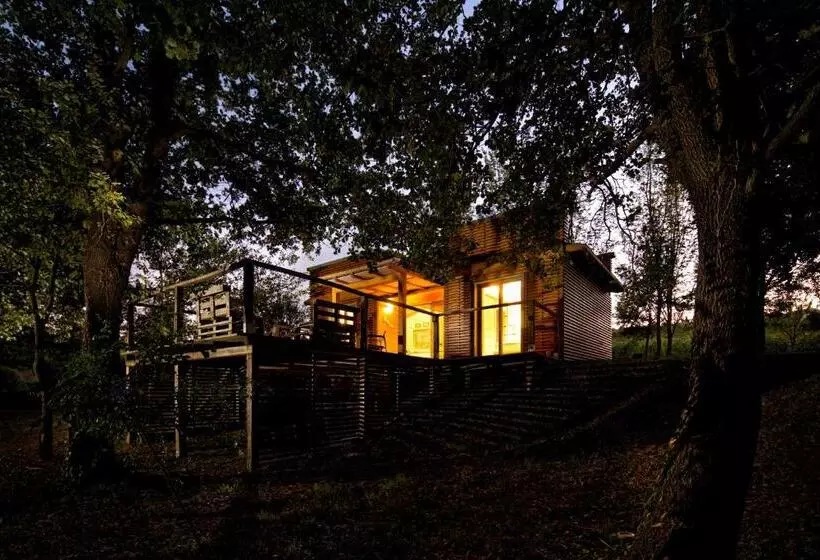 Roccafiore Wine Resort & Spa