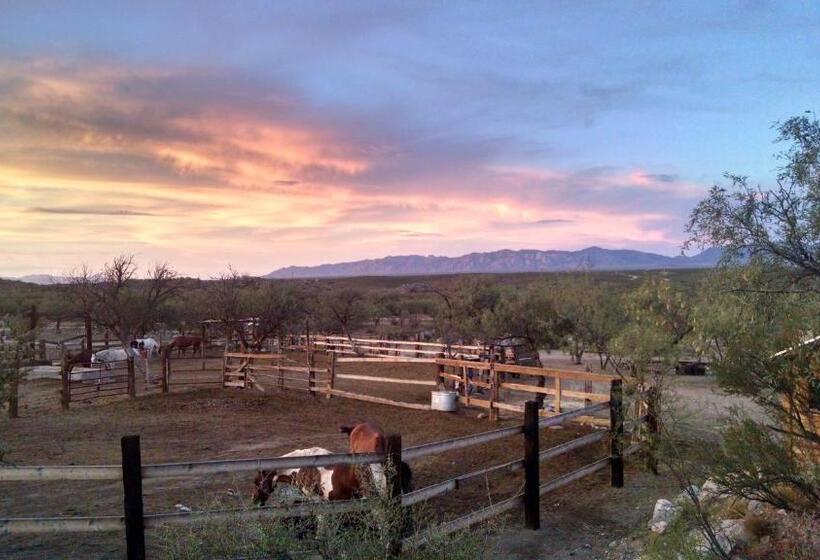 فندق Tombstone Monument Guest Ranch
