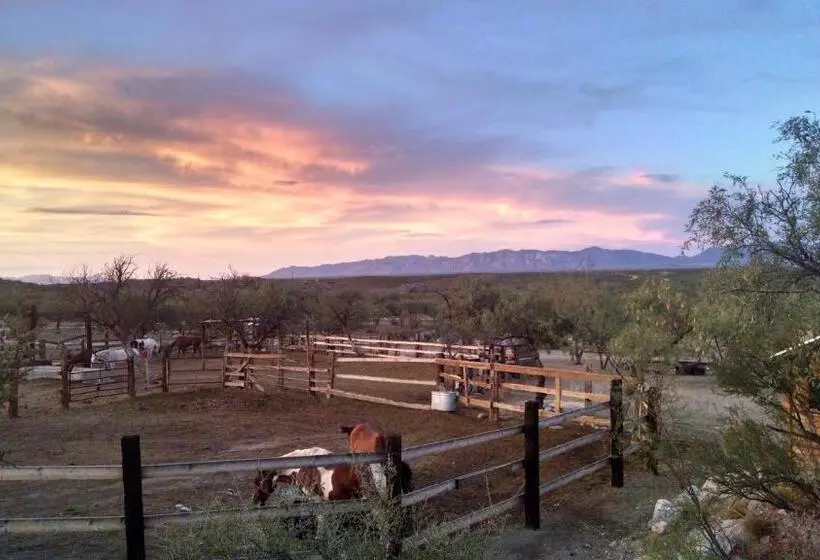 Отель Tombstone Monument Guest Ranch