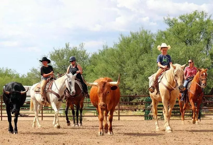 Отель Tombstone Monument Guest Ranch