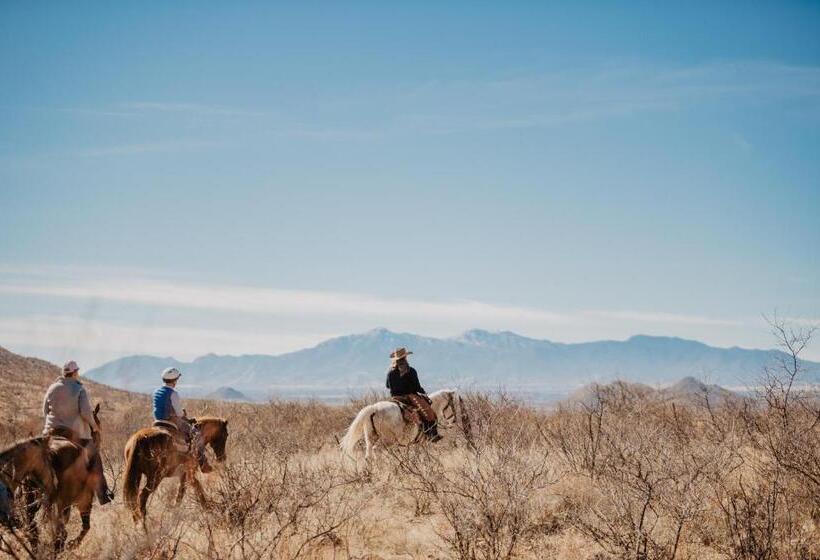 فندق Tombstone Monument Guest Ranch