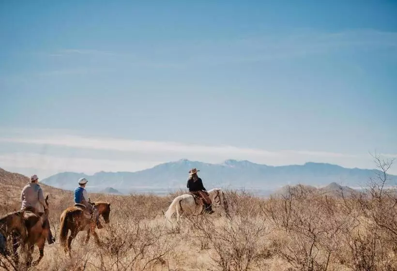 Отель Tombstone Monument Guest Ranch