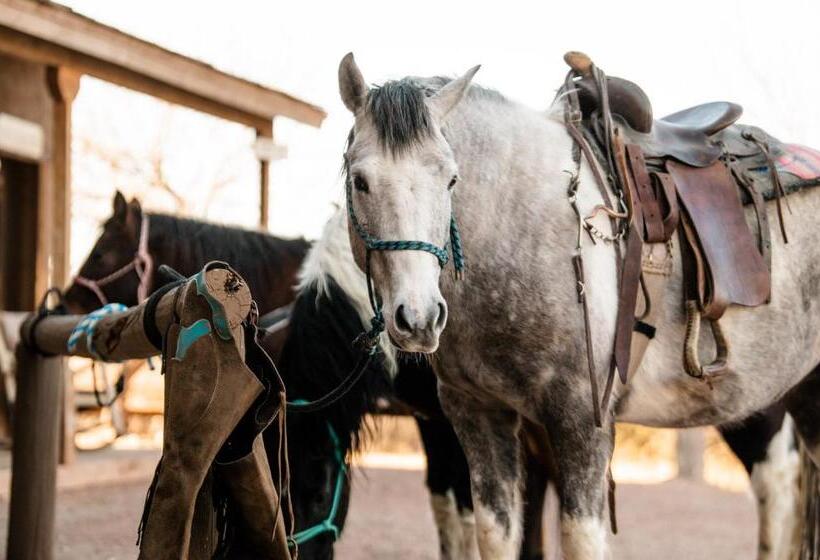 فندق Tombstone Monument Guest Ranch