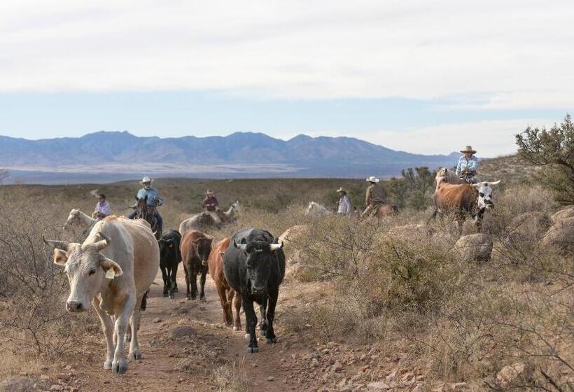 فندق Tombstone Monument Guest Ranch