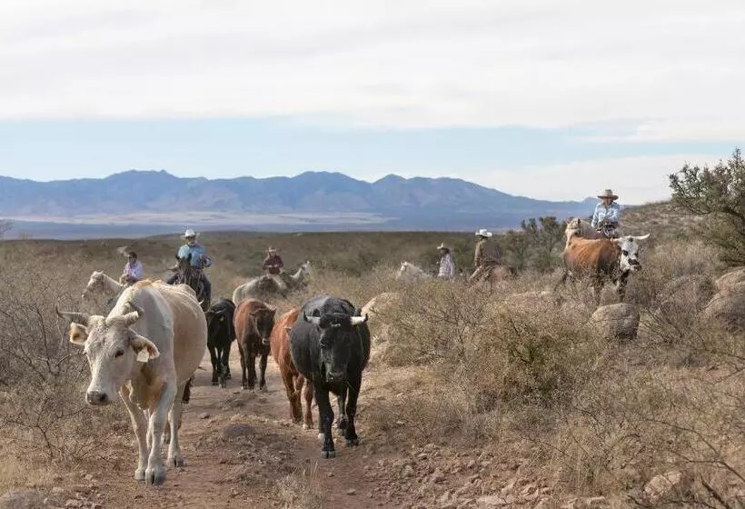 Отель Tombstone Monument Guest Ranch