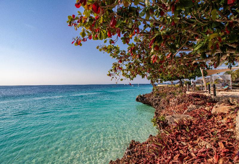 Royal Zanzibar Beach Resort