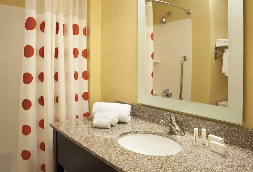 Towneplace Suites By Marriott Saginaw