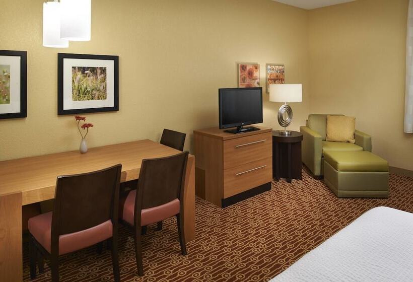 Towneplace Suites By Marriott Saginaw