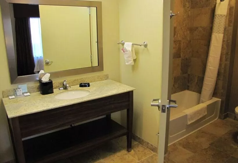 Hampton Inn & Suites Jamestown, Nd