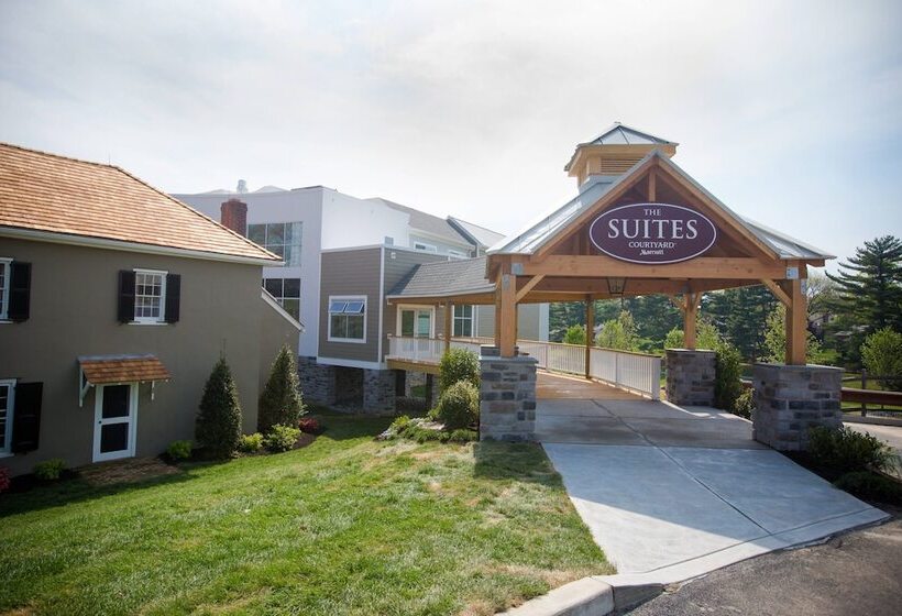 فندق Courtyard By Marriott Philadelphia Springfield