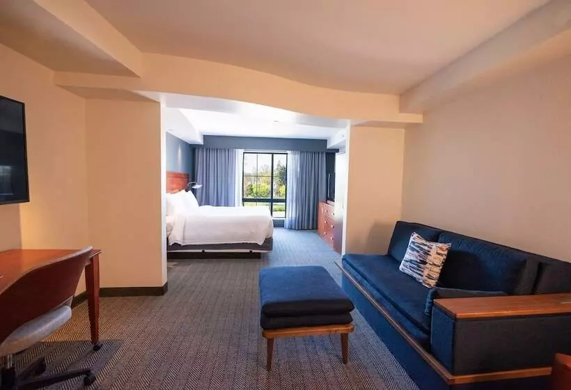 Отель Courtyard By Marriott Philadelphia Springfield