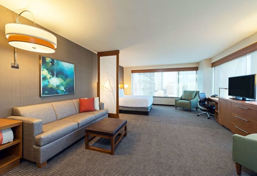 בית מלון כפרי Hyatt Place Nashville Downtown