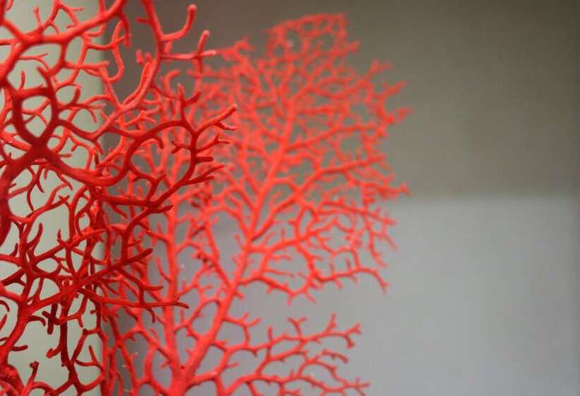 Отель Laqua By The Sea