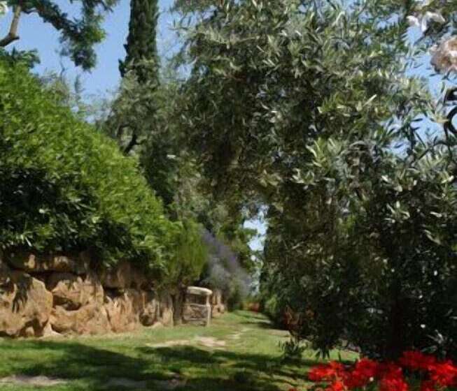 교외 호텔 Agriturismo Il Sapito