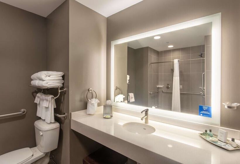 호텔 The Mosey Buffalo Williamsville, Tapestry Collection By Hilton