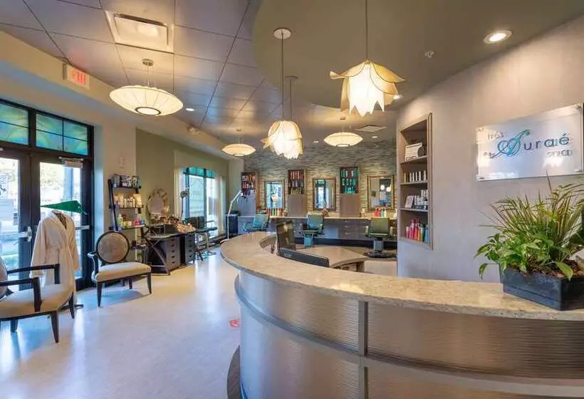 Hotel The Mosey Buffalo Williamsville, Tapestry Collection By Hilton