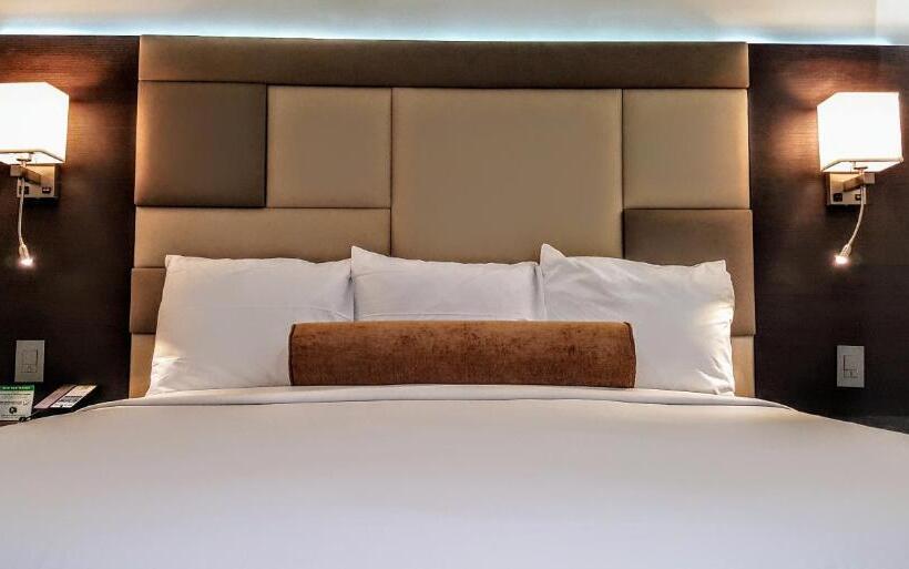 فندق Xilo Glendale