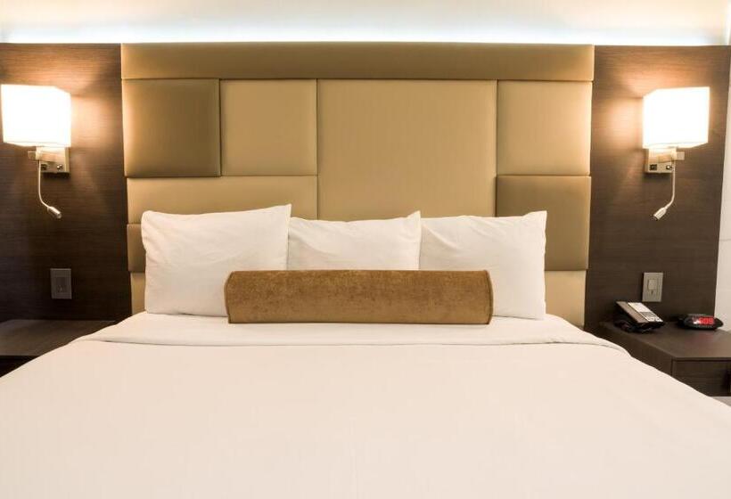 فندق Xilo Glendale