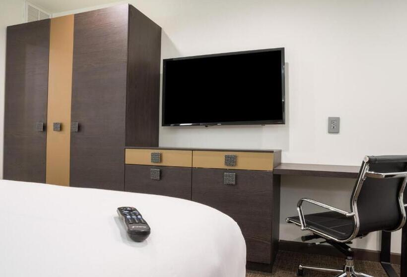 فندق Xilo Glendale