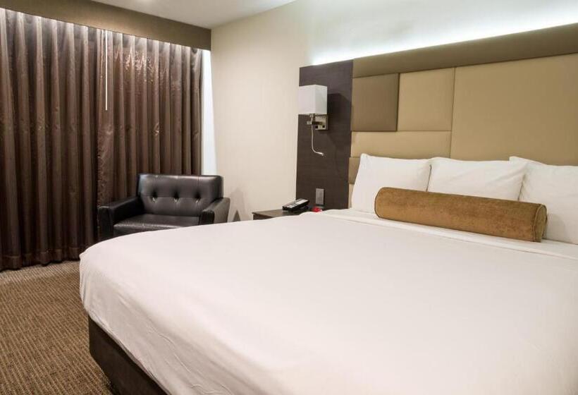 فندق Xilo Glendale