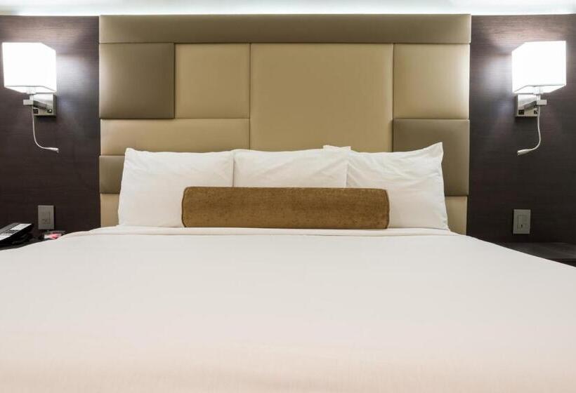 فندق Xilo Glendale