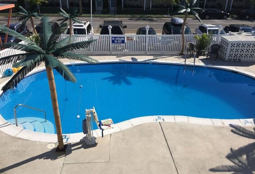 فندق على الطريق Dolphin Inn