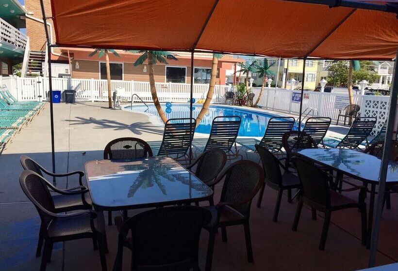 فندق على الطريق Dolphin Inn