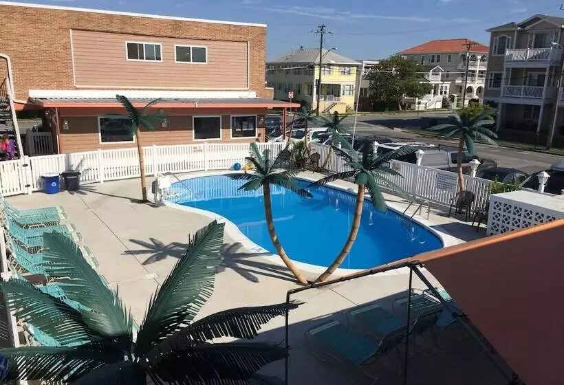 汽车旅馆  Dolphin Inn