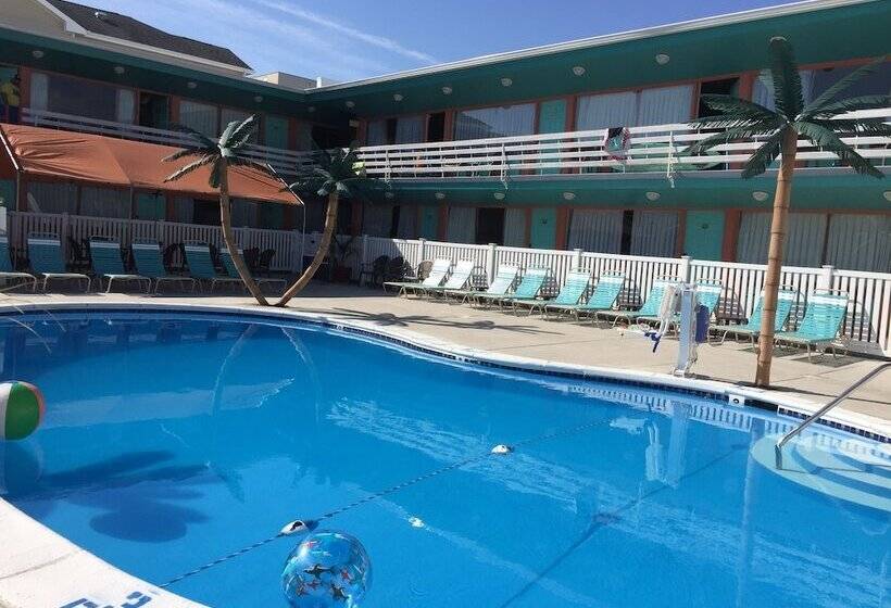 فندق على الطريق Dolphin Inn