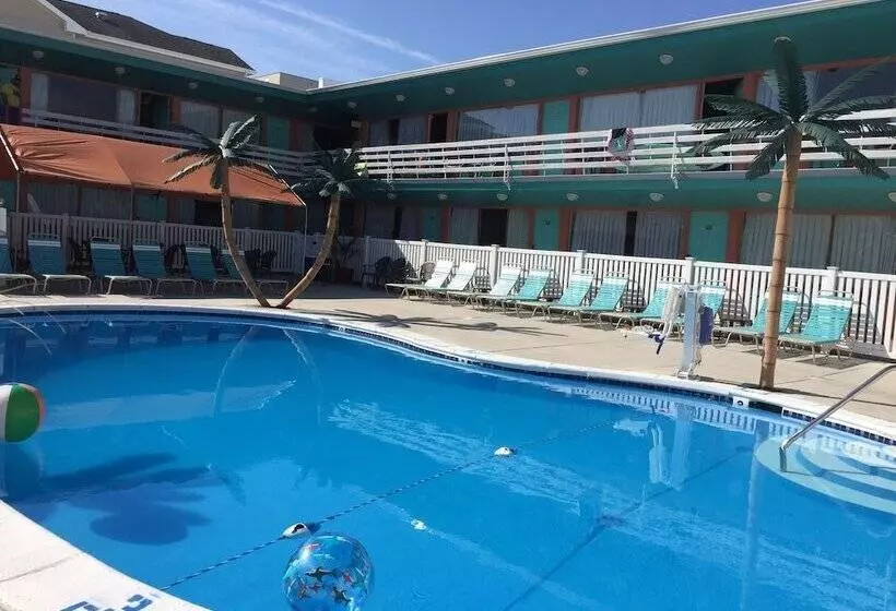 汽车旅馆  Dolphin Inn