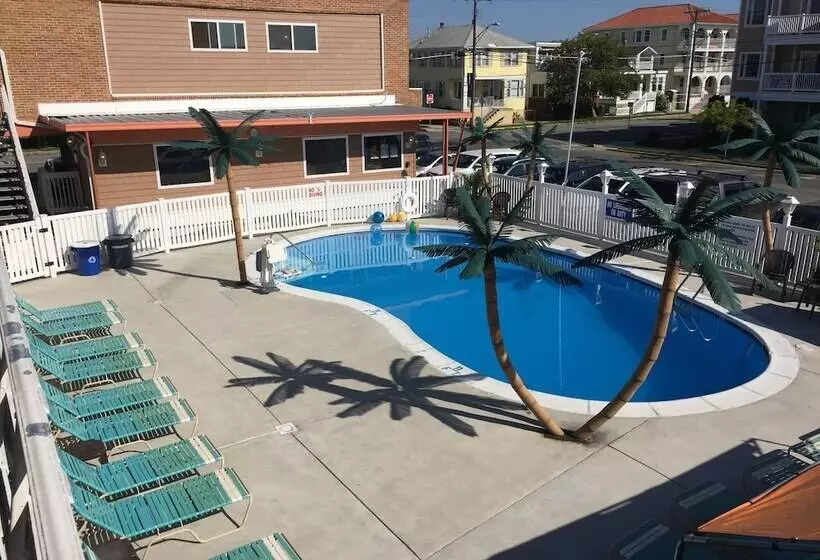 汽车旅馆  Dolphin Inn