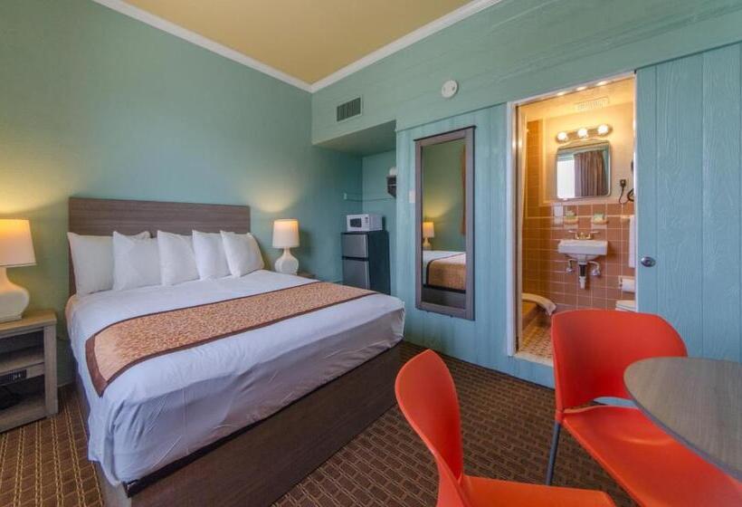 فندق على الطريق Dolphin Inn