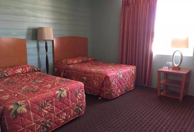 汽车旅馆  Dolphin Inn