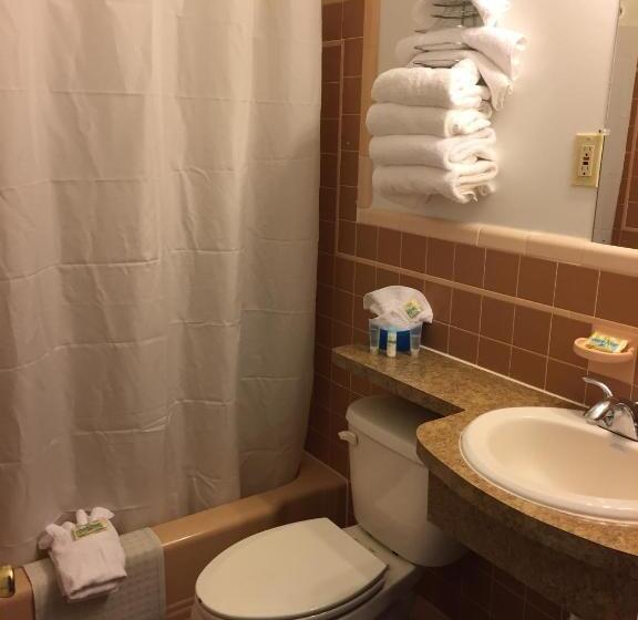 فندق على الطريق Dolphin Inn