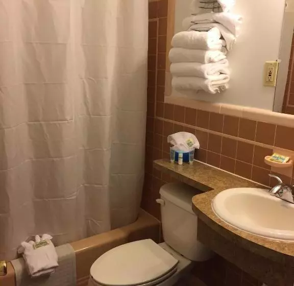 汽车旅馆  Dolphin Inn