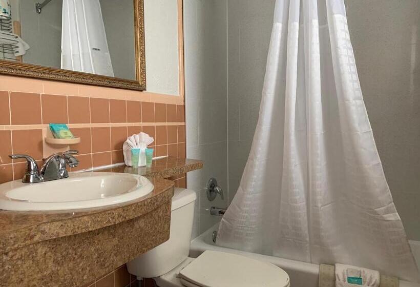 فندق على الطريق Dolphin Inn