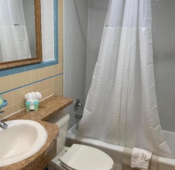 فندق على الطريق Dolphin Inn