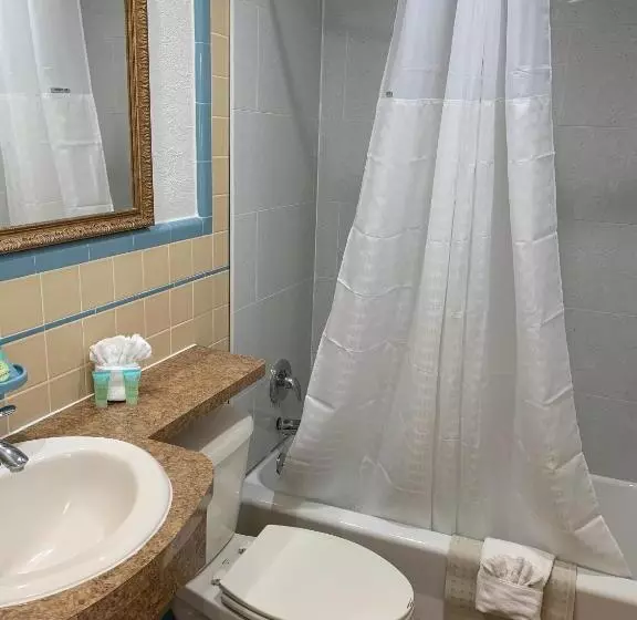 汽车旅馆  Dolphin Inn