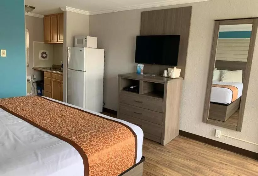 汽车旅馆  Dolphin Inn