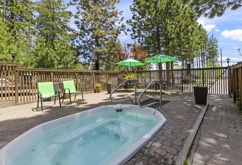 モーテル Firelite Lodge