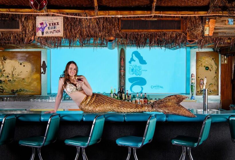 מוטל O Haire Inn