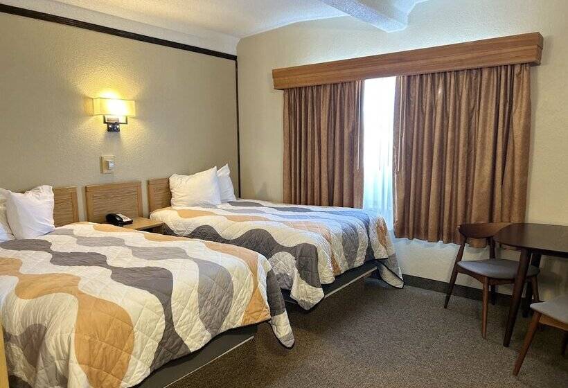 מוטל O Haire Inn