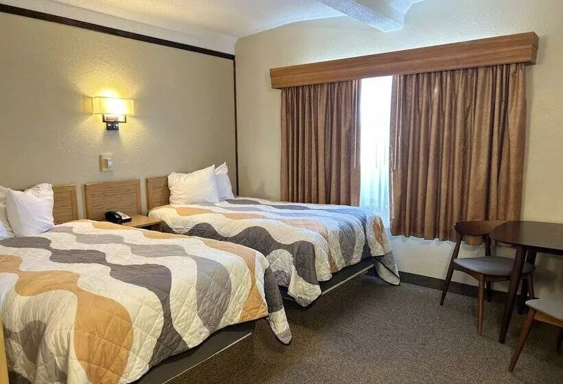 モーテル O Haire Inn