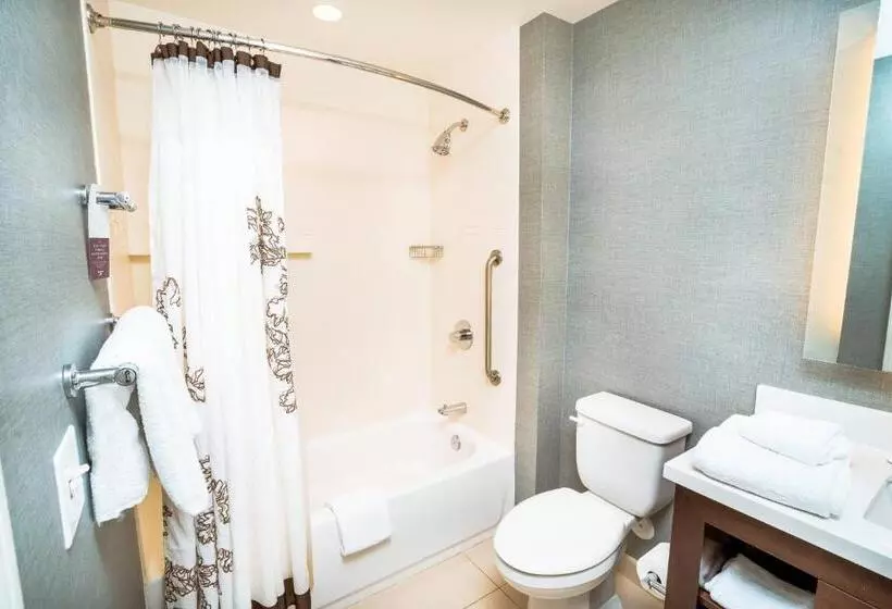 Residence Inn By Marriott Albany Washington Avenue