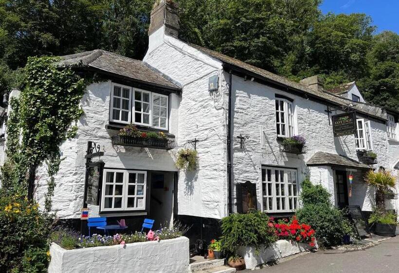 ペンション The Cottage Bed & Breakfast